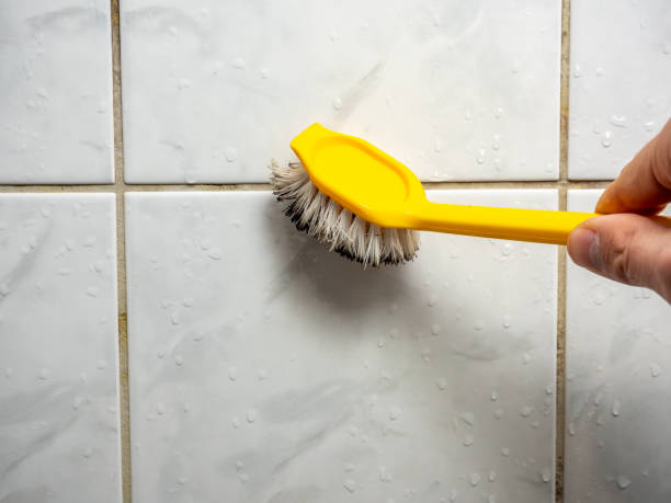 Best Fast Mold Removal  in Hayti, PA